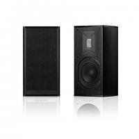 Piega Premium 301 Wireless AB