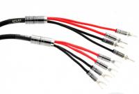 Atlas Mavros wired 4x4 3.0m [Transpose Z plug Silver]
