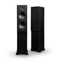 PSB Alpha T20, black в магазине adk/audio