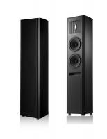 Piega Coax 90.2 AB black alu/black