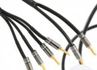 Atlas Hyper Bi-Wire (2 to 4) 2.0m [Transpose Z plug Gold]